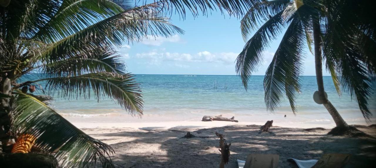 Chez Gigi - Eco Lodge Mahahual Esterno foto