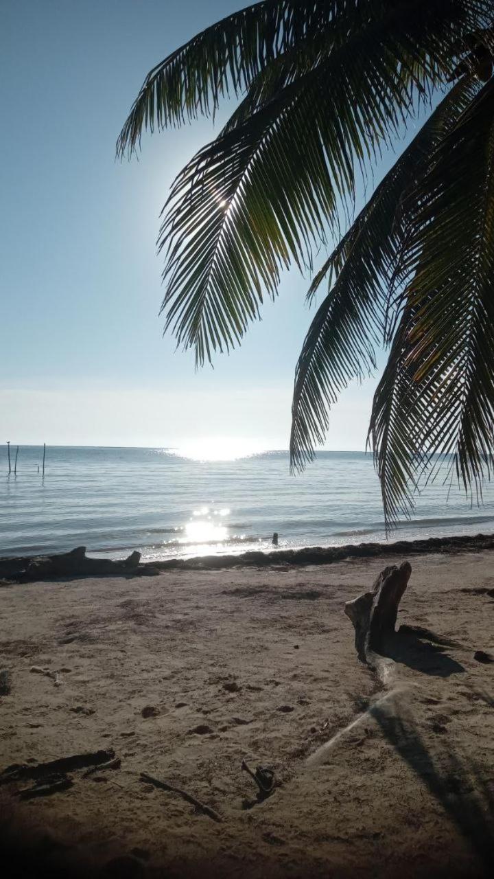 Chez Gigi - Eco Lodge Mahahual Esterno foto