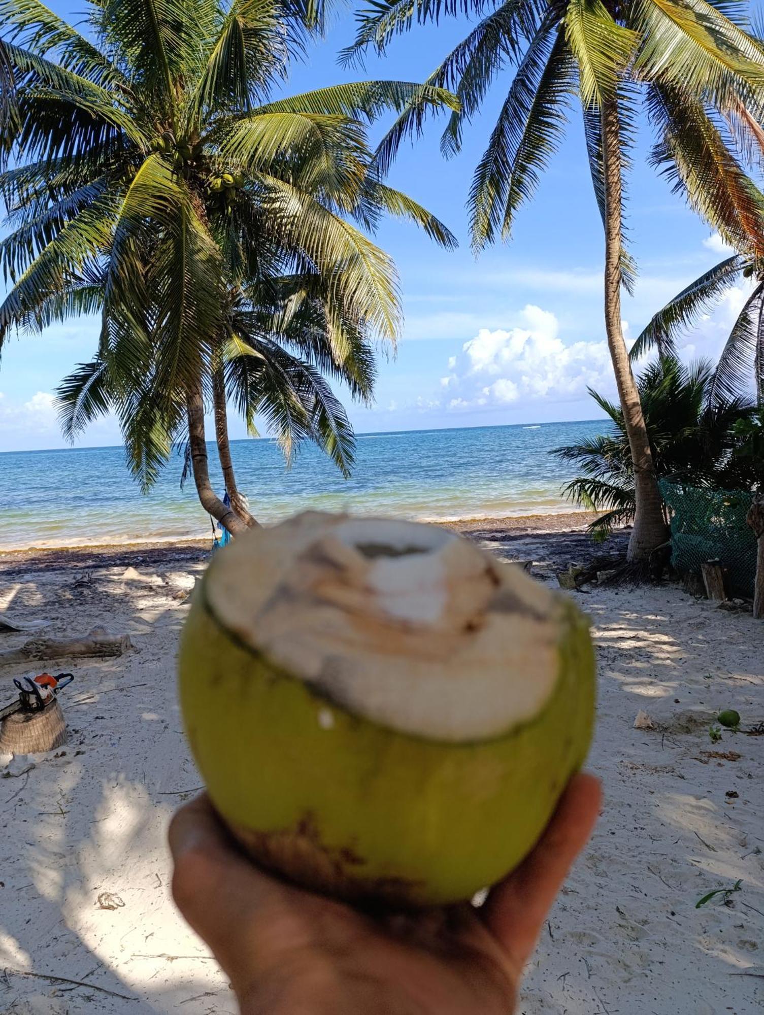 Chez Gigi - Eco Lodge Mahahual Esterno foto