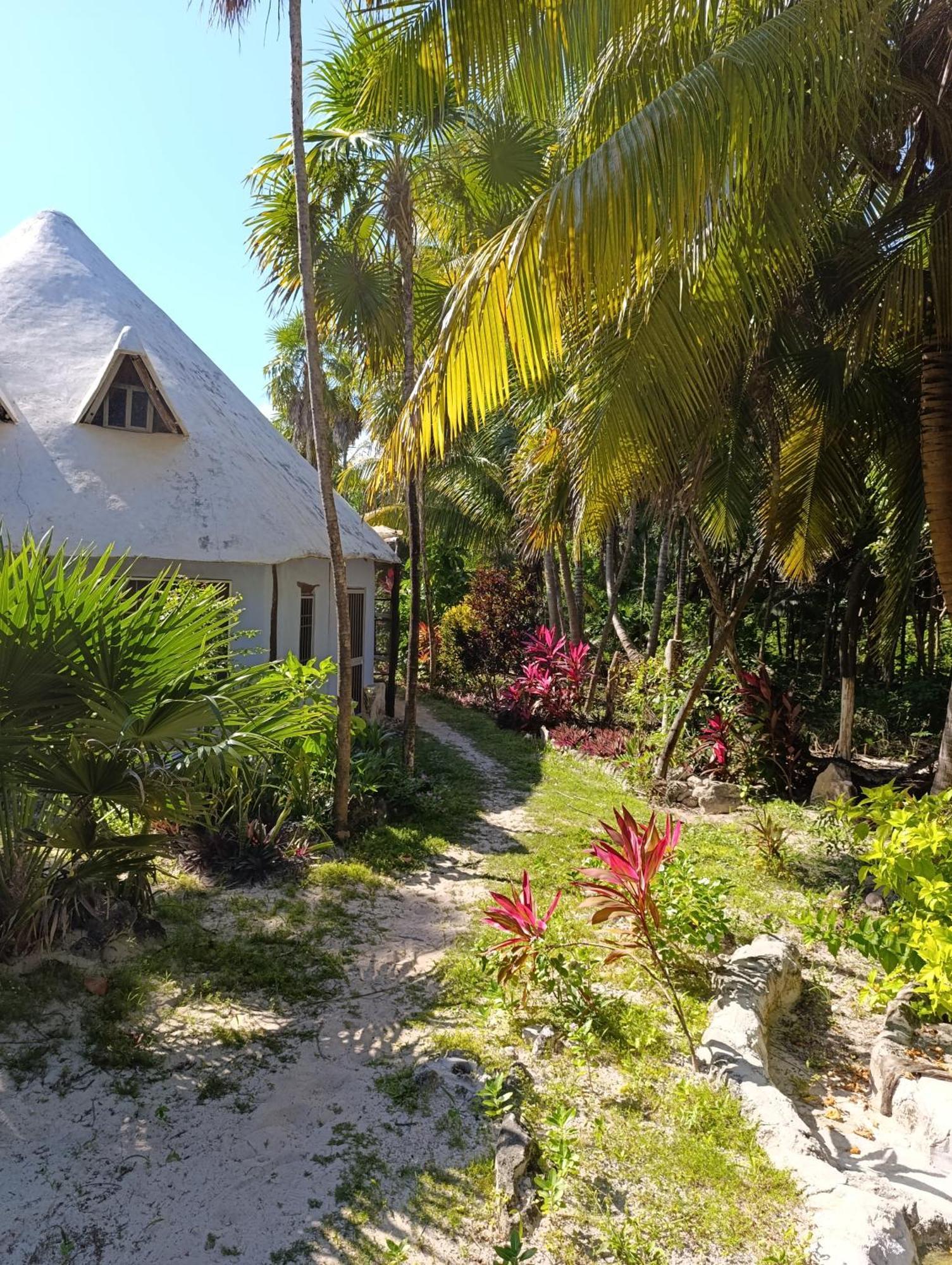 Chez Gigi - Eco Lodge Mahahual Esterno foto