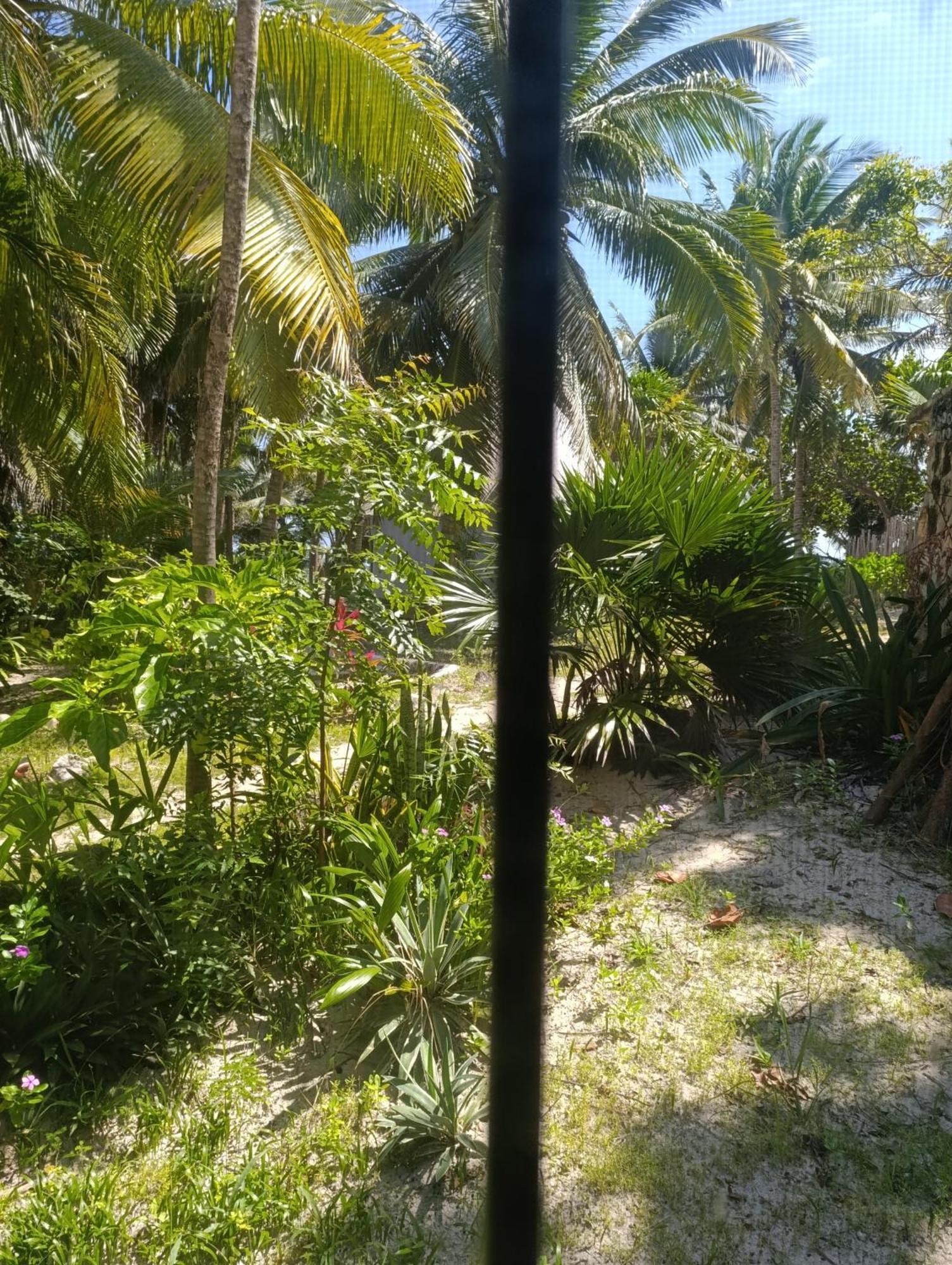 Chez Gigi - Eco Lodge Mahahual Esterno foto