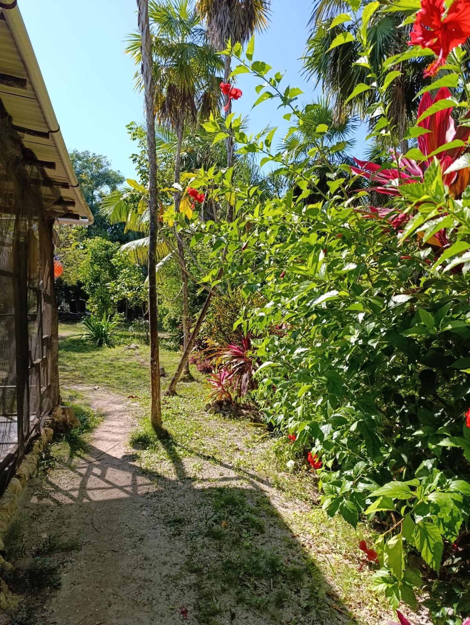Chez Gigi - Eco Lodge Mahahual Esterno foto